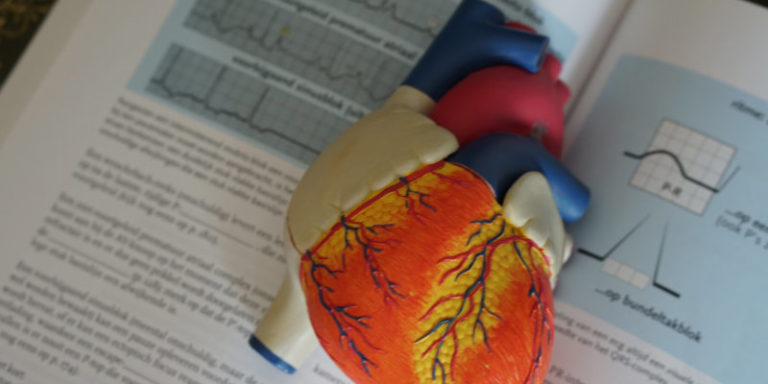 cardiologi: visita cardiologica quando farla